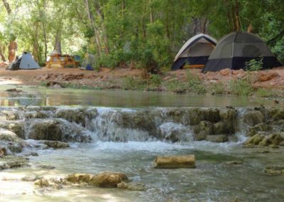 Havasu_Falls_Lodge_BGWild